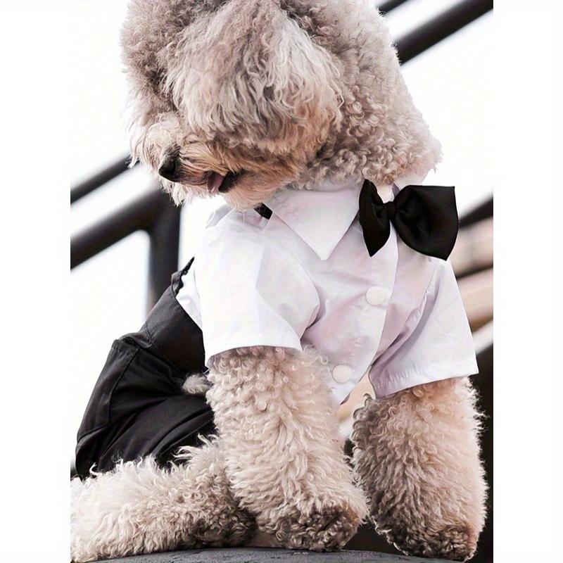 1 шт. Охлаждающая рубашка для питомца, Дизайн на 4 лапы, Формальный воротник, Одежда для кошек и собак