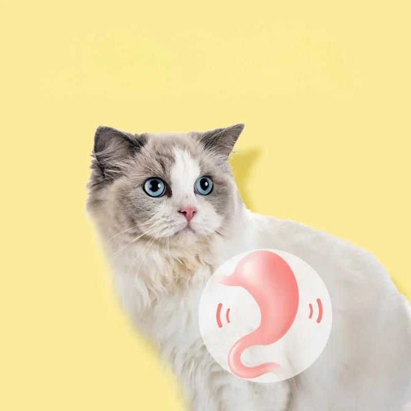 Игрушки для кошек Чистка зубов Серебряная лоза Жевательная палочка Палочки для домашних животных Натуральные палочки для дразнящих жевательных игрушек для котят