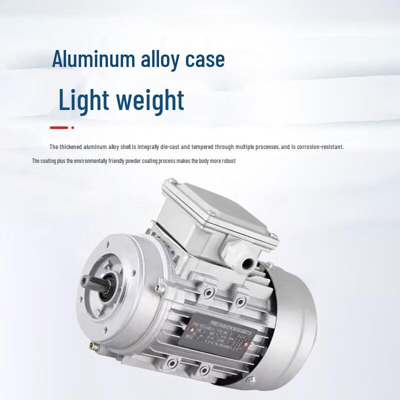 Magnian YE3 Series Three-Phase AC Asynchronous Motor