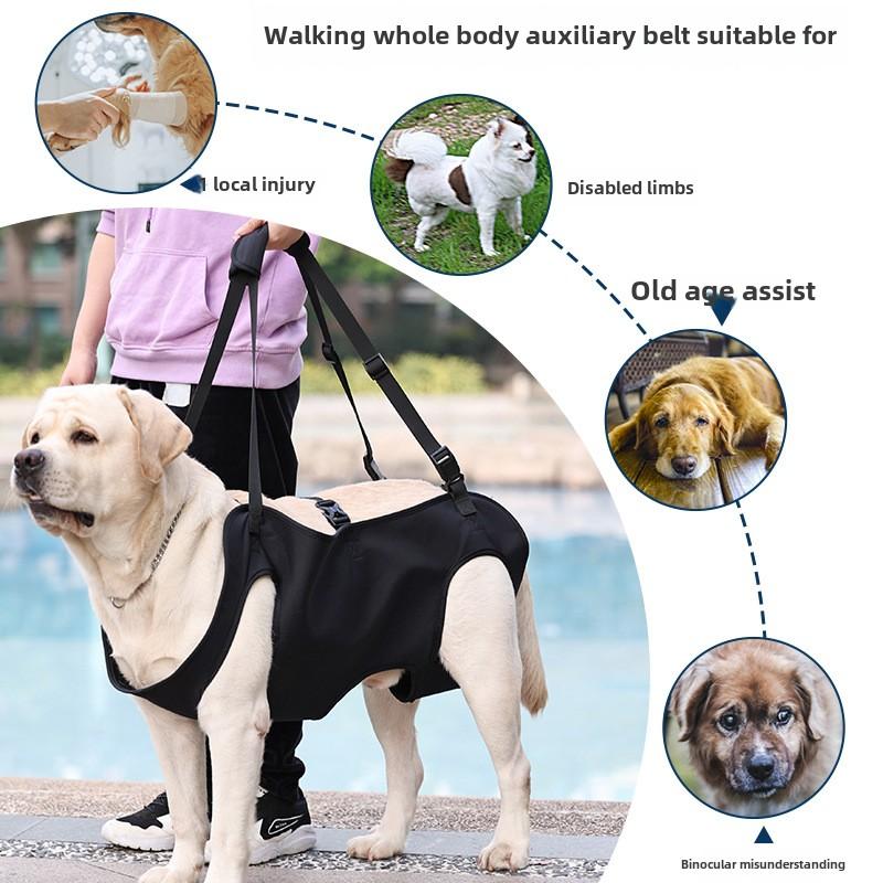Пояс для собак Помощник для травмированных собак Помощник для переноски задних ног для пожилых собак Декомпрессионная переноска для травмированных собак Помощь в путешествии