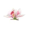 Barrettes Orchid Flower Hairpin Bohemia Korean Style Hairpins  Daily