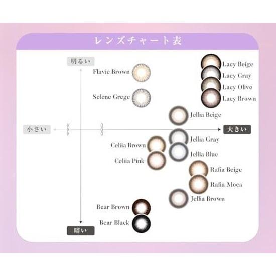 Color lenses TeAmo One Day prescription without 14.5mm 1DAY Bear Black 10 pieces 0.00