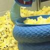 Blue Snake Popcorn Bucket Large Capacity Portable 3D Printed Reusable Popcorn Snack Bowl Container Cartoon