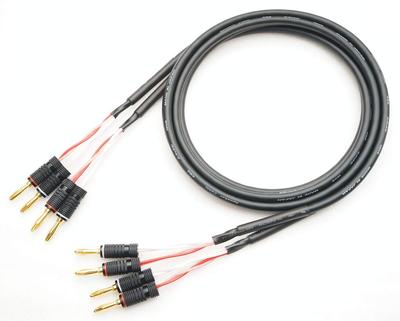 CANARE 4S6G медный провод с банановым штекером акустический кабель комплект из 2 шт. бескислородный (2,5м)