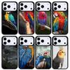 Animal Macaw Parrot Colourful Mobile Phone Case for IPhone 17 AIR 16pro Max 15 14 13 12 11 Bumper Cover
