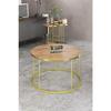 Журнальный столик и стол-раскладушка Terra Set Gold Efes