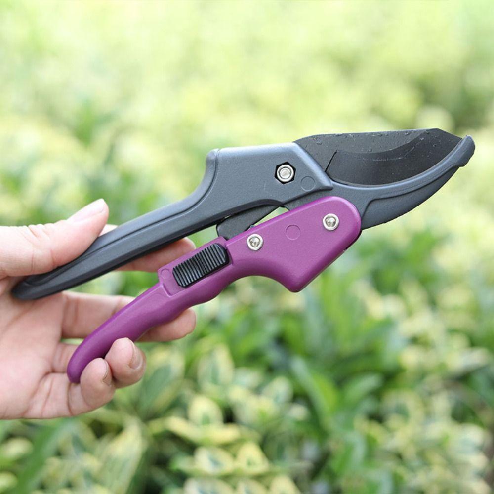 Ручные ножницы для сбора фруктов SK5, стальной секатор, инструмент для обрезки, ножницы для обрезки веток, сад