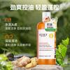 Шампунь для контроля жирности Zhuolanya Ginger King