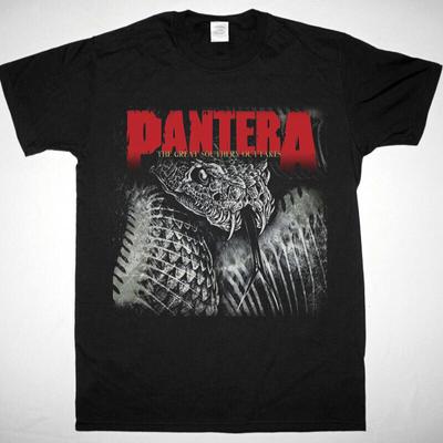 Черная футболка унисекс Pantera The Great Southern Outtakes