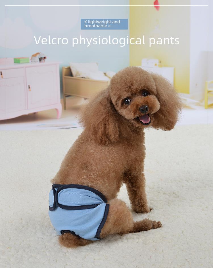 Гигиенические трусики на липучках для собак — защита от преследований во время менструации для крупных, средних и мелких пород