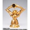 Saint Cloth Myth EX Водолей Каму COLOR NATION Магазин Tamashii Web ~ОРИГИНАЛЬНОЕ ИЗДАНИЕ~ (ТАМАШИИ 2019, Ограниченная)