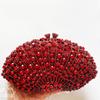 WHTUOHENG Серебряный Хрустальный Свадебный Вечерний Клатч Женская Сумка с Алмазами Роскошная Женская Сумка Веерной Формы для Вечеринки и Выпускного