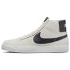 Nike SB Zoom Blazer Mid 'Sail Cave Purple' Мужские 864349-011