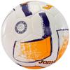 Dali II Football