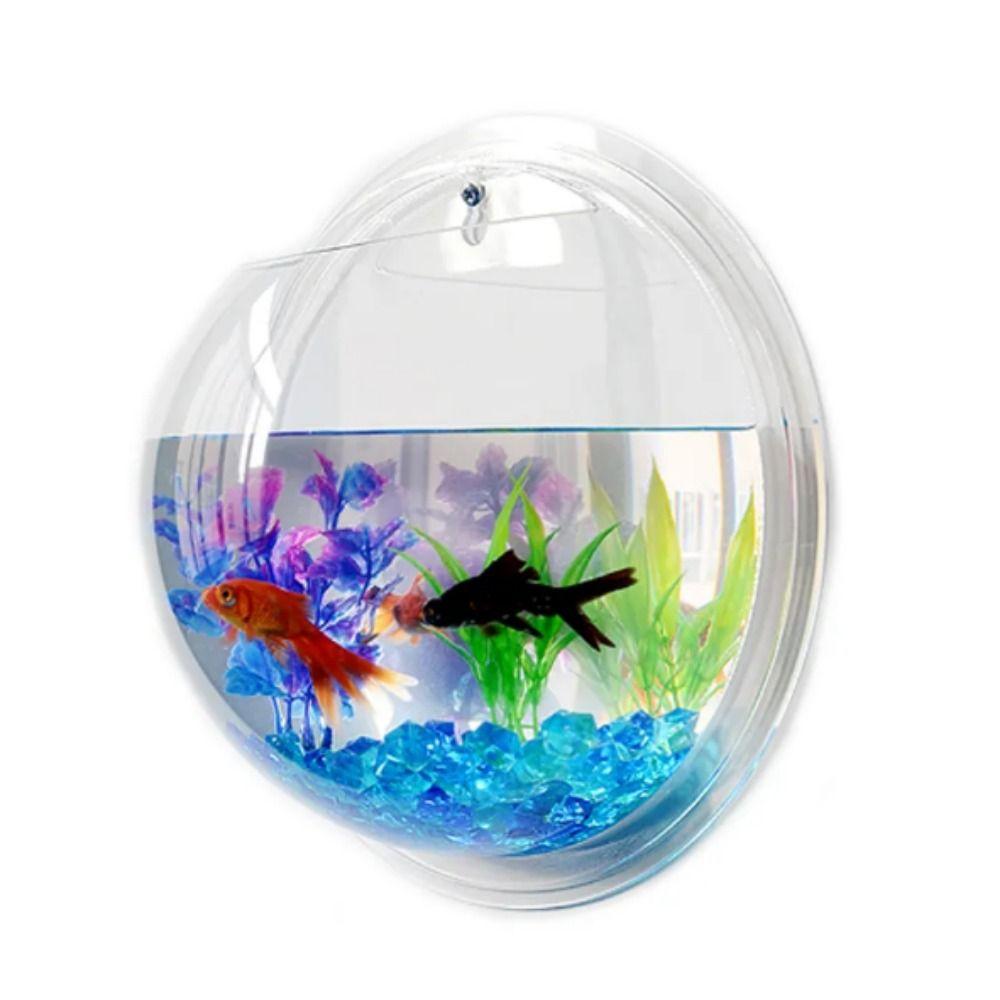 Настенный аквариум в форме полусферы, прозрачный подвесной аквариум для петушков, украшение для офиса