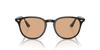 Солнцезащитные очки RB4259F ЧЕРНЫЕ 53 [Ray-Ban]