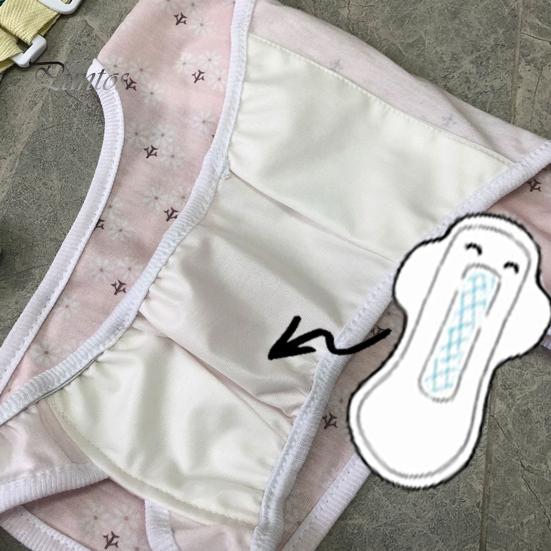 Менструальные штаны для домашних животных, регулируемые гигиенические трусики для собак, удобные герметичные физиологические штаны для домашних животных, товары для домашних животных