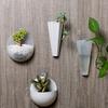 Transparent Plastic Wall Hanging Pots for Indoor Bonsai and Flowers