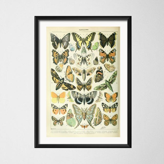 Винтажный стиль плакаты бабочка насекомое холст картины постеры и принты настенная художественная картина для гостиной домашний декор Cuadros