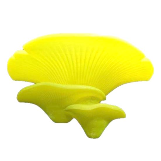 Mushroom Shape Bracket, Double Purpose Stand for Displaying And Storing Items, Wall Decoration Shelf for Glass Tiles Smooth Surfaces