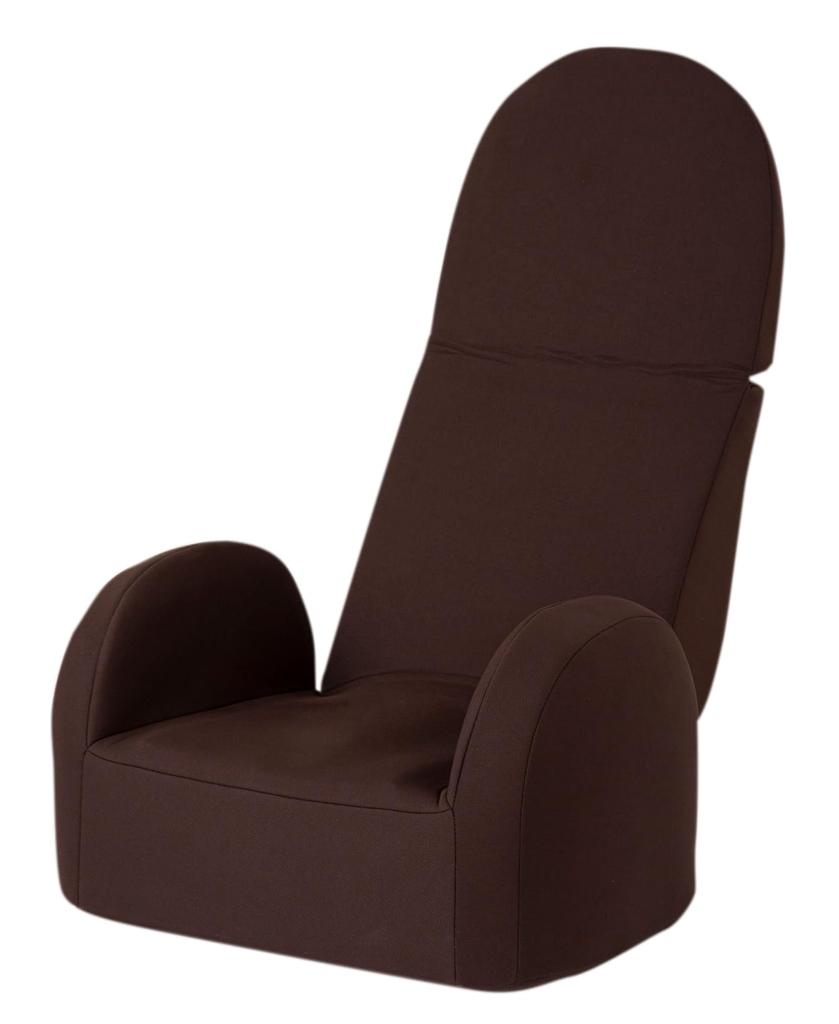 Ashiya Bi Seitai Shape Air Premium Темно-коричневый