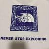 Б/у Женская футболка The North Face с коротким рукавом Bandana Square Logo Tee THE NORTH FACE XL