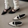 Summer Women Shoes New Pointed Thick Heels for Women Retro Buckle Leather Shoes for Women Zapatos De Mujer