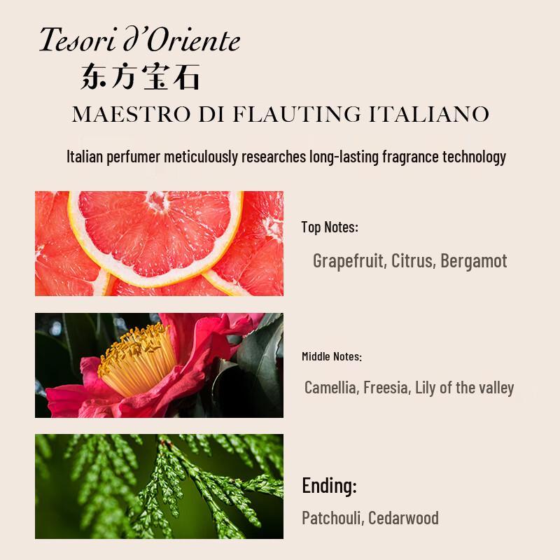 Tesori D'oriente Japanese Romance Camellia Shower Cream