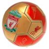 Liverpool FC Printed Signature Mini Football