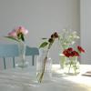 Hydroponic Nordic Creative Container Plant Bottle Glass Vases Flower Pot Table Vase