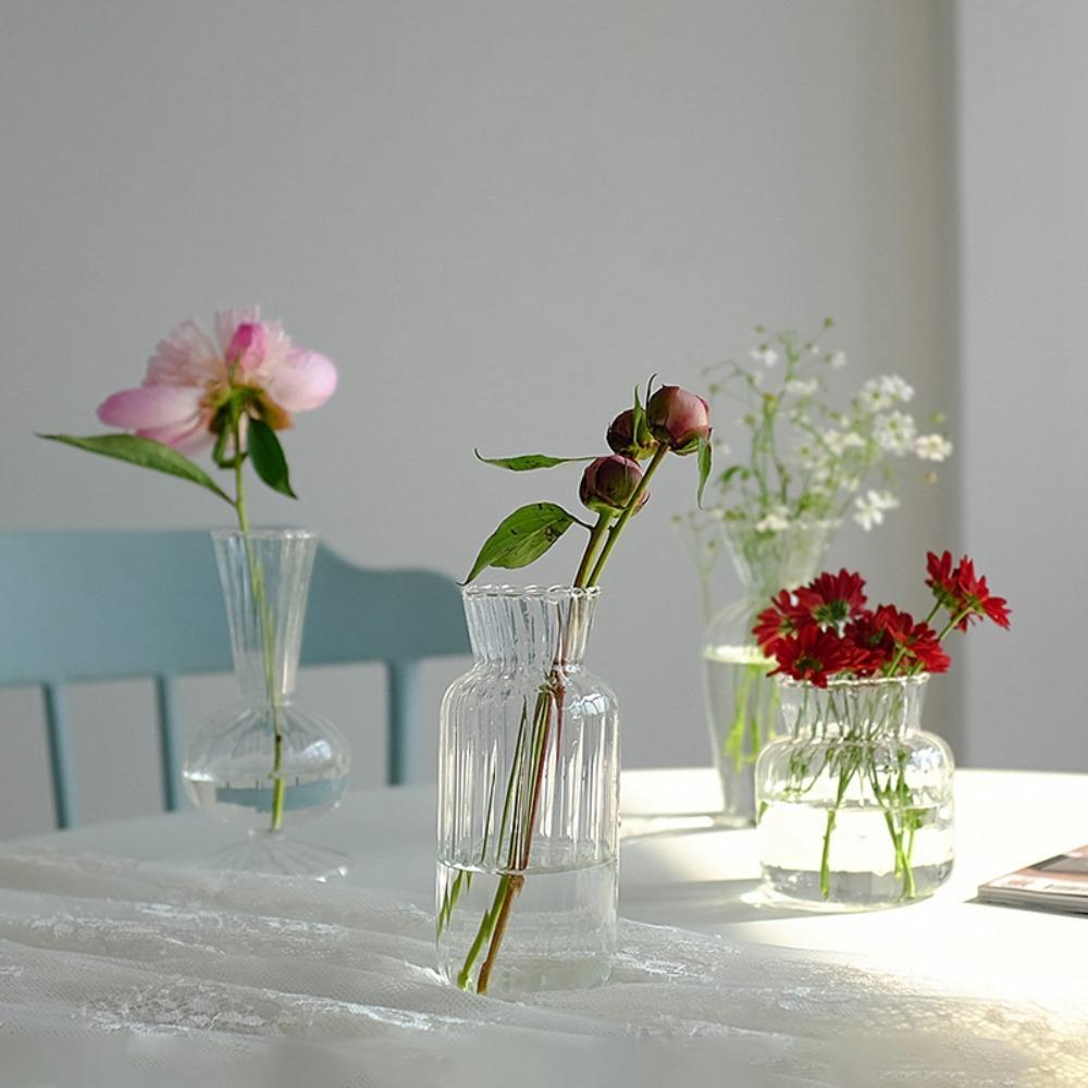 Hydroponic Nordic Creative Container Plant Bottle Glass Vases Flower Pot Table Vase