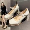 High Heels Women's 2024 Spring and Autumn New French Square Head Mary Jane Women's Shoes Design Sense Niche Temperament Thick Heel Single Shoes