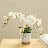 Цветок Фаленопсис Искусственные Цветы Имитация Бонсай Орхидея Новая Поддельная Фаленопсис