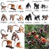 Pvc Animal Model Toy Set With Realistic Monkey And Gorilla Figures For Kids Collectors