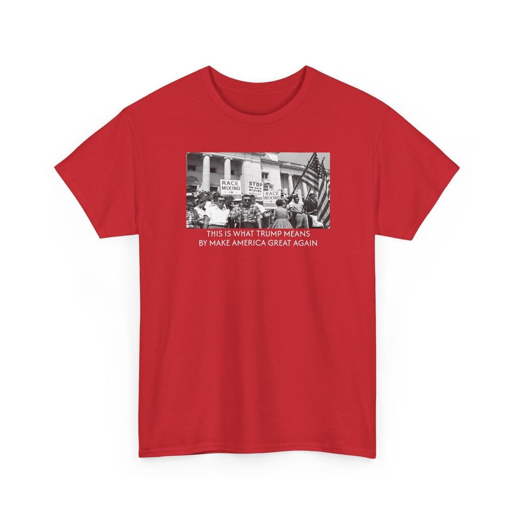 Protest Integration Unisex Tee, Civil Rights Movement Shirt, Little Rock 1959