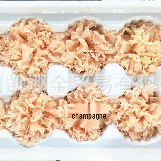 Preserved Yunnan Carnation Flowers – Perfect Mother’s Day and Birthday Gift