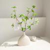Nordic Unglazed Ceramic Vase for Dried or Artificial Flowers