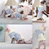 Breathable Striped Hairless Cat Sweater Hoodie for Spring, Autumn, and Winter