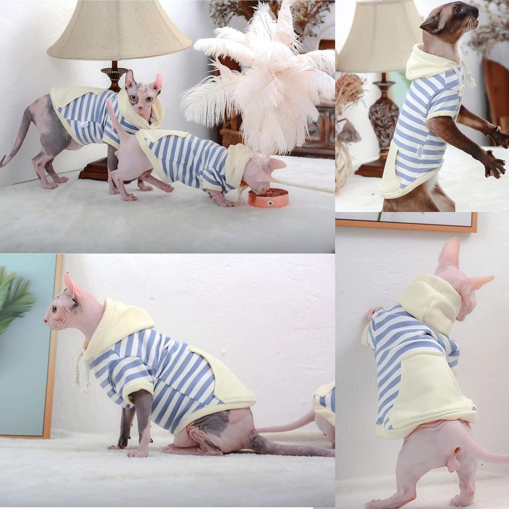Breathable Striped Hairless Cat Sweater Hoodie for Spring, Autumn, and Winter