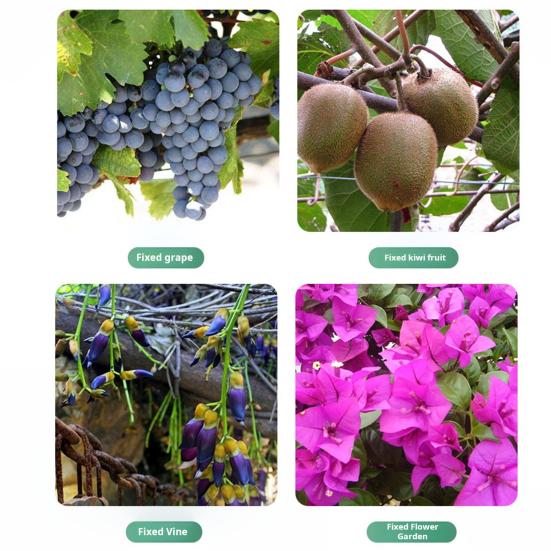 Climbing Plant Clamps Secured Long-lasting Plastic Plant Clips Garden Vine Support Clip Multifunctional Plant Holder for Vine Stem Fixing