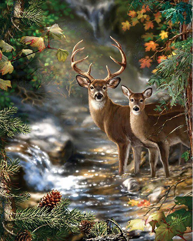 Алмазная вышивка Снежный дом Ремесленный комплект Полный дрель Площадь Новое поступление Алмазная картина Маяк Пляж Цветочный пейзаж Мозаика Украшение дома