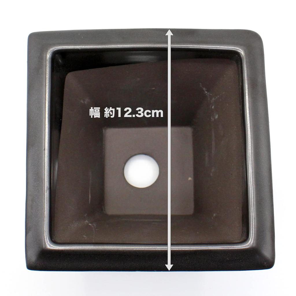 Umekichi Bonsai Square Bonsai Kengai Black Matte Seto Suitable for Miscellaneous Pine and 12cm Supplies, 4-inch Pot, Style, Glaze, Ware, Deep,