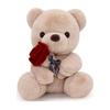 Homehalo Teddy Bear Мягкая игрушка Милый плюшевый мишка Обнимашка Подушка Животное Милый медведь Мягкая игрушка Пушистый специальный медведь Мягкая игрушка Удобный плюшевый мишка