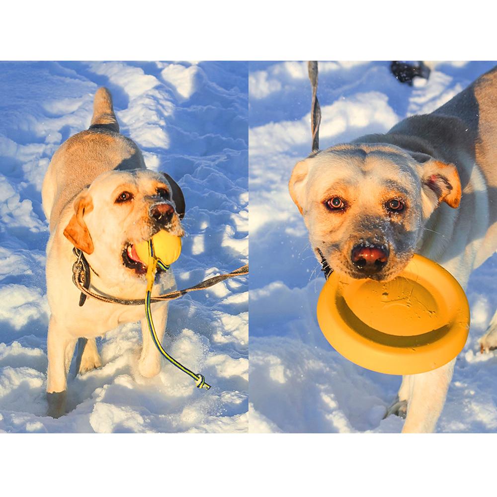Игрушки для собак и кошек: летающий диск, кольцо, мяч с веревкой