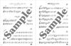 Easy-to-Play Flute Repertoire