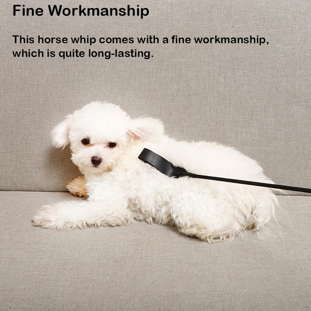 Horse Whip Training Tool Riding Whipper Ple Style Attractive Performance Prop Professional No Burrs Exercises Whips