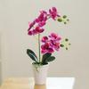 Vivid Artificial Orchid Bonsai Potted Real Touch Artificial Orchid Flower  Living Room