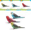 Realistic Bird Model Pvc Parrot Decorative Figurine For Kids Learning And Display