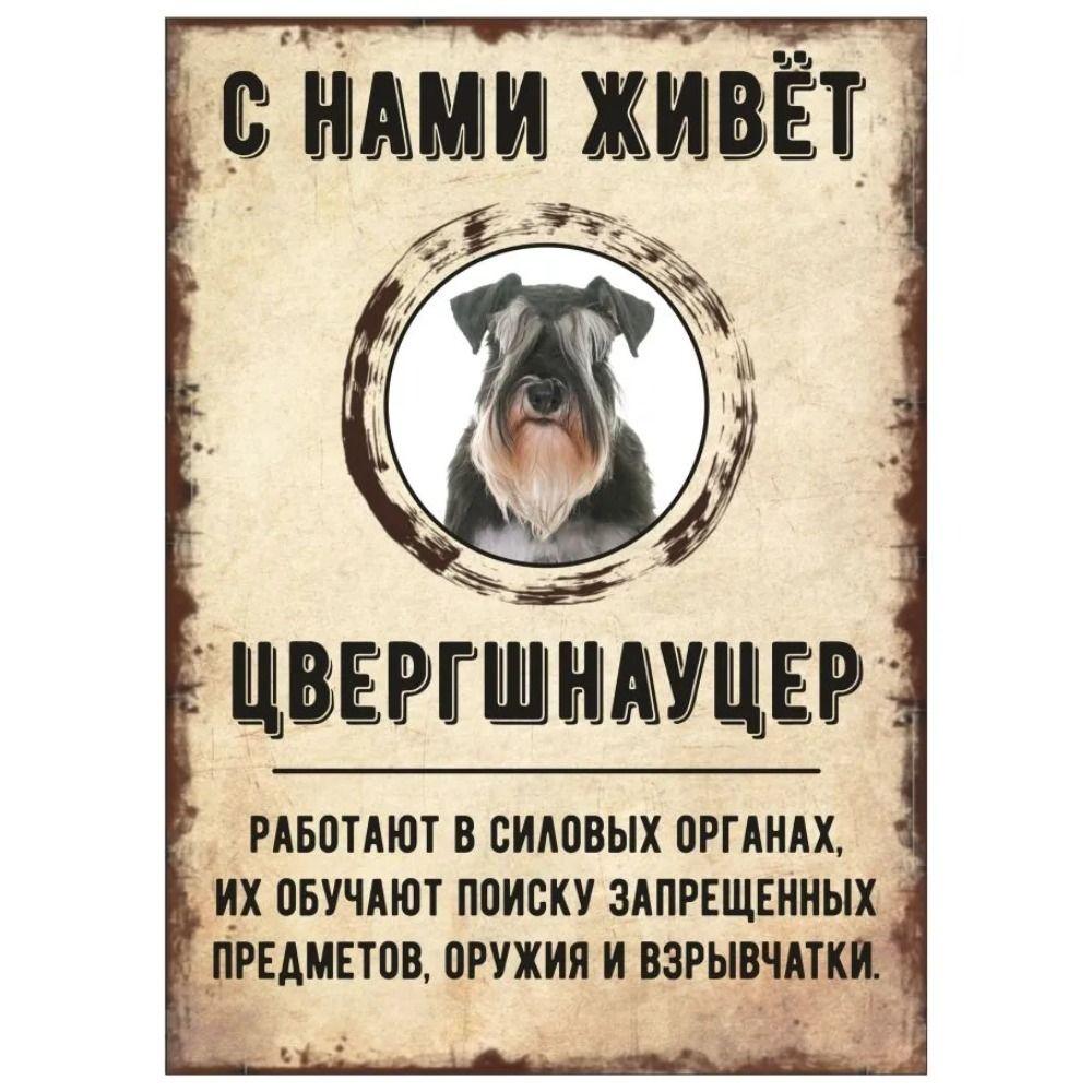 ОСТОРОЖНО СОБАКА Забавная Шнауцер Металлическая Табличка Декор для Питомца 20x30см