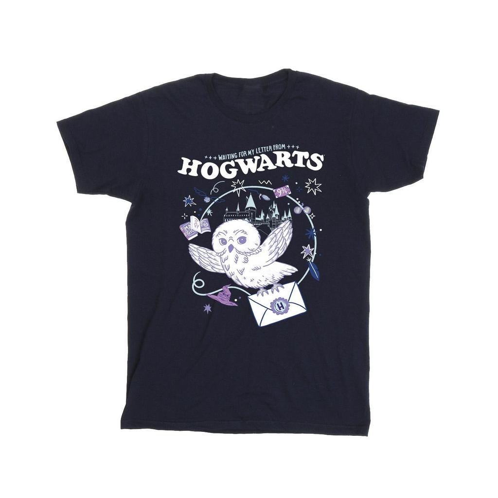 Harry Potter Mens Owl Letter From Hogwarts T-Shirt